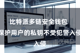 比特派多链安全钱包  保护用户的私钥不受犯警入侵
