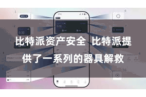 比特派资产安全  比特派提供了一系列的器具解救